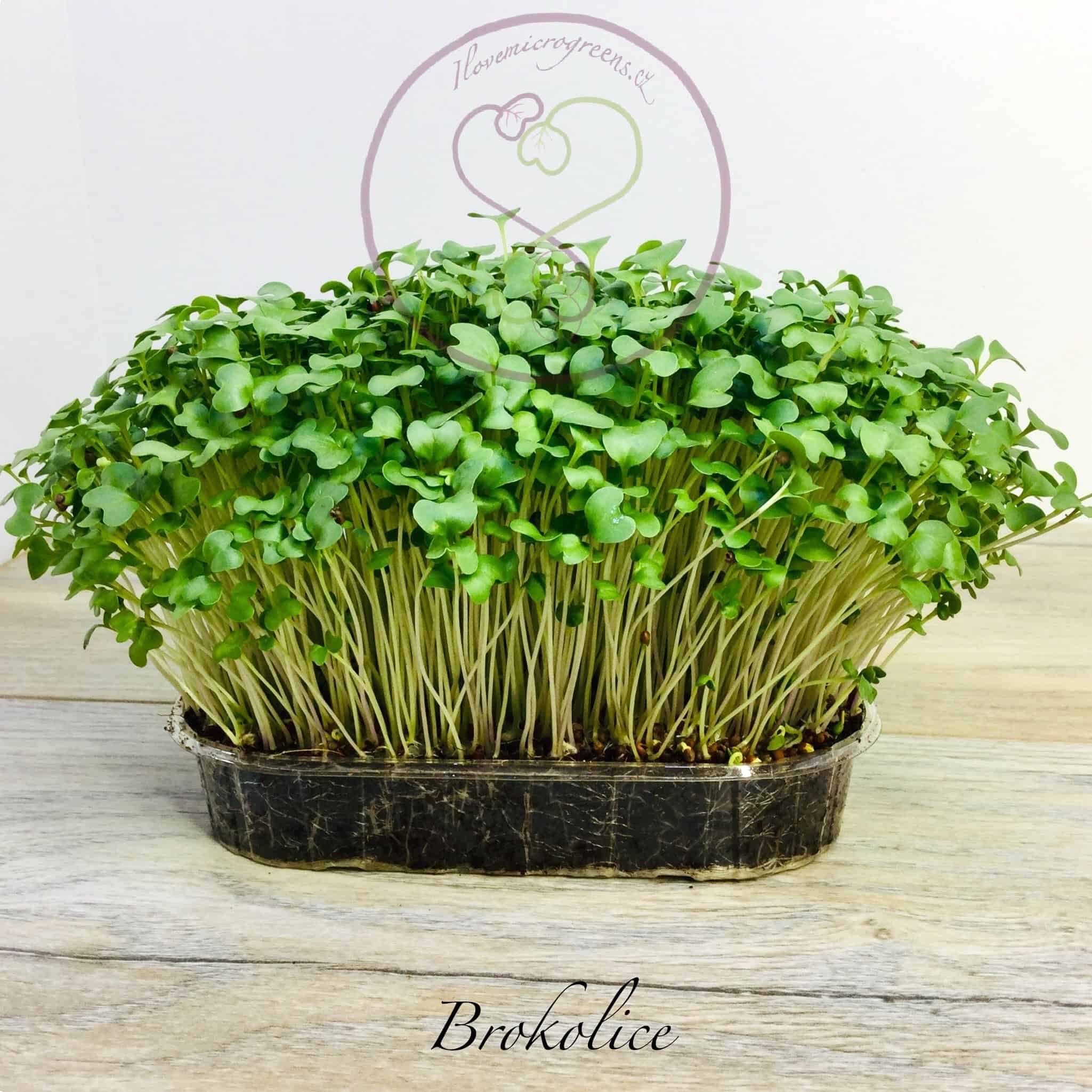 8brokolice (2)