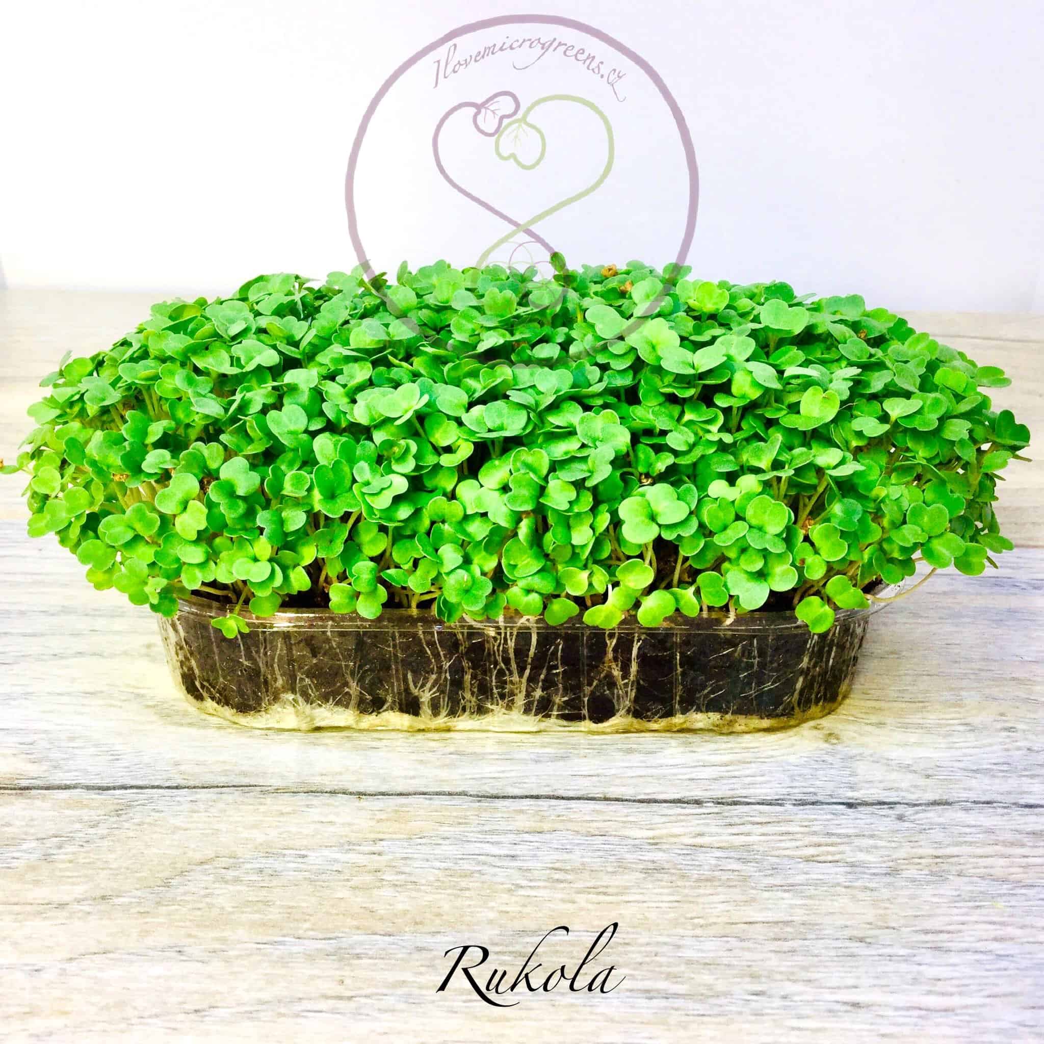 9rukola